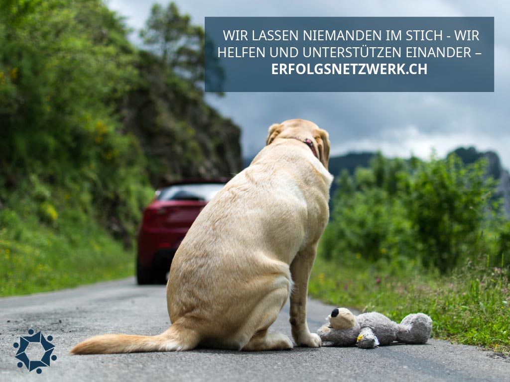 (c) Erfolgsnetzwerk.ch