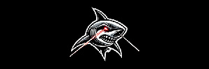 Cybershark